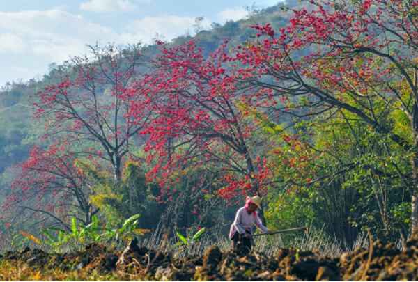 圖片6_副本.png 圖片6_副本.png