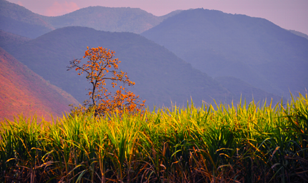 圖片3_副本.png 圖片3_副本.png