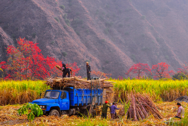 圖片7_副本.png 圖片7_副本.png