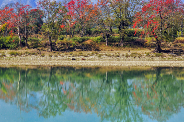 圖片1_副本.png 圖片1_副本.png