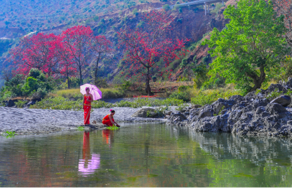 圖片10_副本.png 圖片10_副本.png