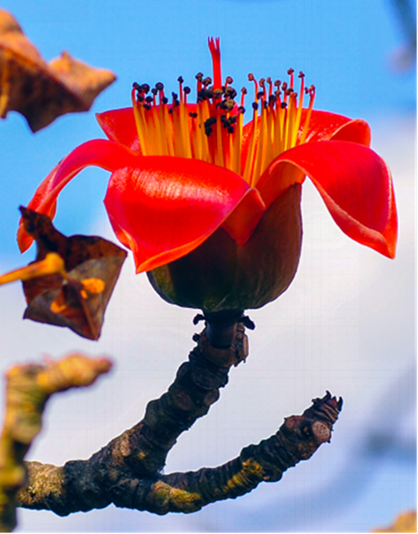 yXTXGWpYYNkXSQadFLRSvWBg8ptQW2zHczdG17Nl_副本.png yXTXGWpYYNkXSQadFLRSvWBg8ptQW2zHczdG17Nl_副本.png