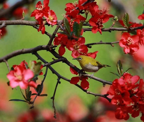 4_副本.jpg 4_副本.jpg