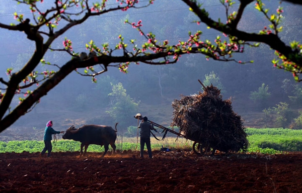 3_副本.jpg 3_副本.jpg