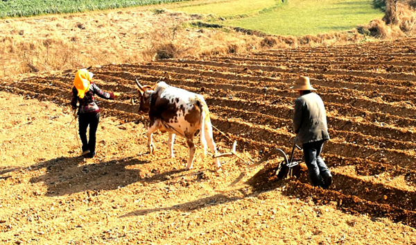 圖片1_副本.png 圖片1_副本.png