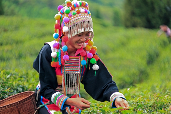 2_副本.jpg 2_副本.jpg