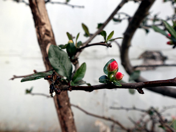 5_副本.png 5_副本.png