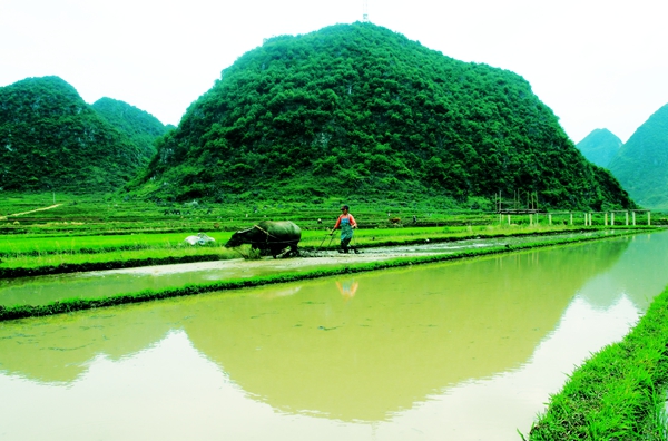 IMG_9738_副本_副本.jpg IMG_9738_副本_副本.jpg