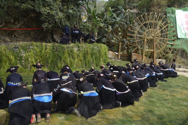 4處龍樹腳下請太陽(陳明凱攝).jpg 4處龍樹腳下請太陽(陳明凱攝).jpg