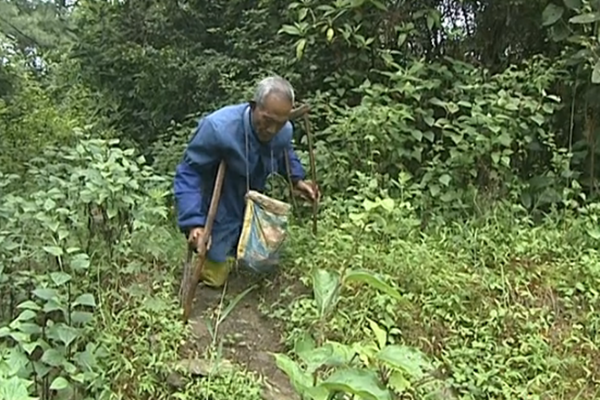 雙腿高位截肢的楊廷相老人不改初心,始終熱愛著這自己守護的這片山林_副本.png 雙腿高位截肢的楊廷相老人不改初心,始終熱愛著這自己守護的這片山林_副本.png