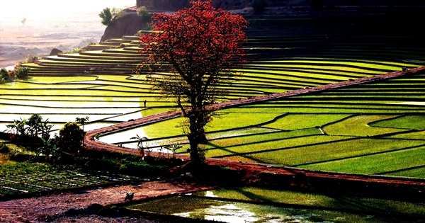 1_副本.jpg 1_副本.jpg