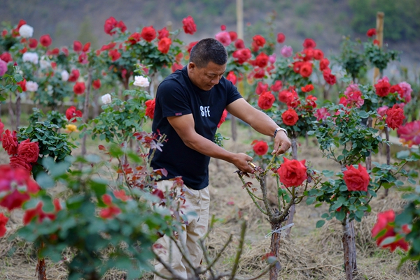 3_副本.jpg 3_副本.jpg