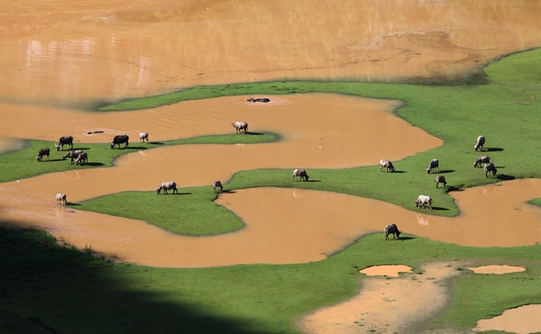 4_副本.jpg 4_副本.jpg