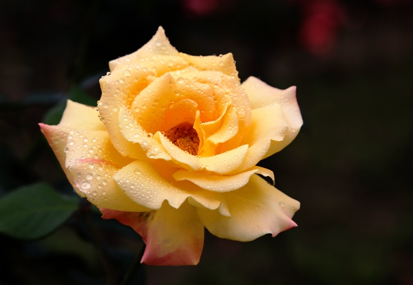 7_副本.jpg 7_副本.jpg