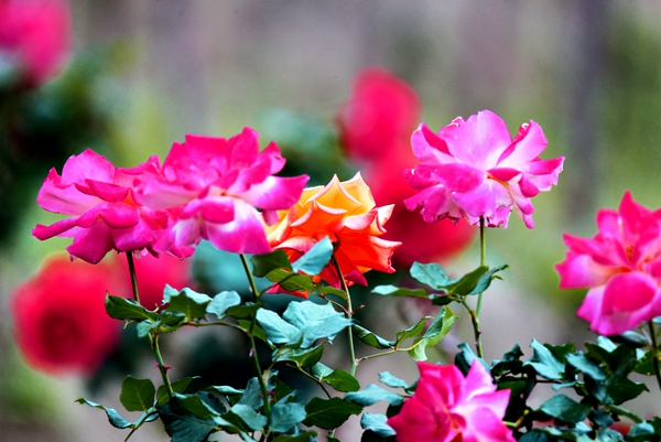 8_副本.jpg 8_副本.jpg