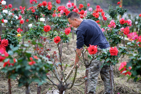 12_副本.jpg 12_副本.jpg