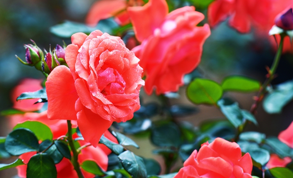 5_副本.jpg 5_副本.jpg