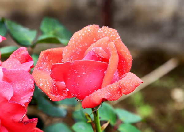 11_副本.jpg 11_副本.jpg