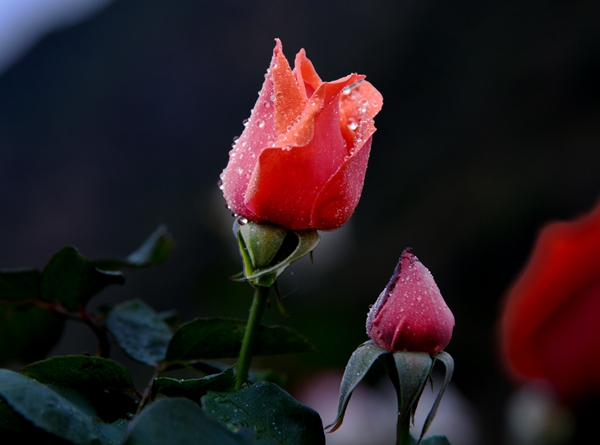 3_副本.jpg 3_副本.jpg