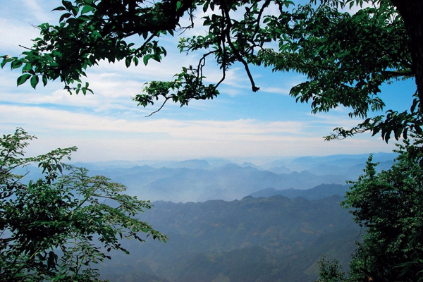 8_副本.jpg 8_副本.jpg