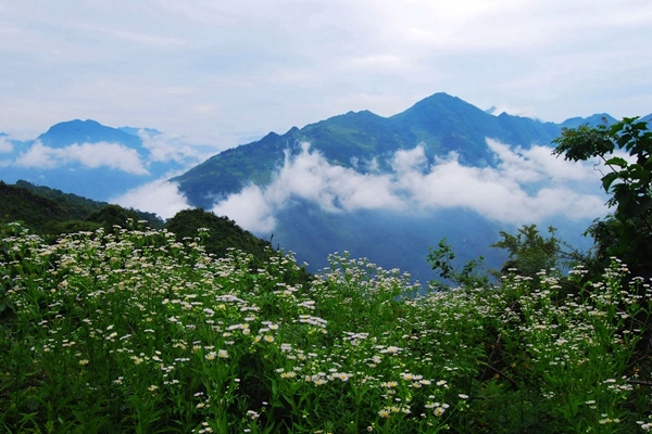 7_副本.jpg 7_副本.jpg