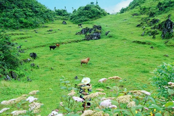 6_副本.jpg 6_副本.jpg