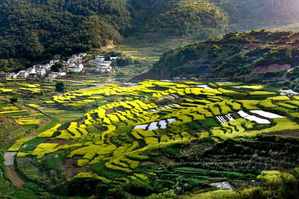 周云鳳 (3)_副本.jpg