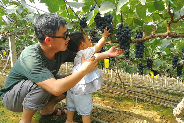 【紀檢人鏡頭】陪你一起成長 父親節主題投稿(昌寧縣紀委)_副本.jpg 【紀檢人鏡頭】陪你一起成長 父親節主題投稿(昌寧縣紀委)_副本.jpg