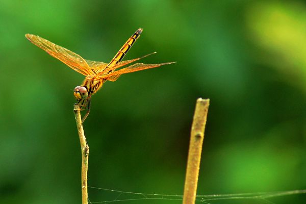 紀檢人鏡頭(夏至)昭通市紀委_副本.jpg 紀檢人鏡頭(夏至)昭通市紀委_副本.jpg