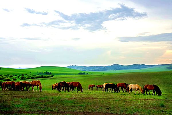 【紀檢人?鏡頭】夏至+云南省馬龍區紀委_副本.jpg 【紀檢人?鏡頭】夏至+云南省馬龍區紀委_副本.jpg