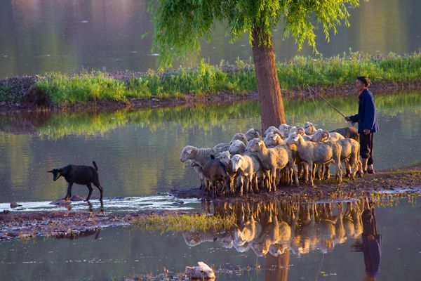1.溪水無意留照影 揚鞭歸來夕陽暖_副本.jpg 1.溪水無意留照影 揚鞭歸來夕陽暖_副本.jpg