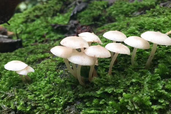 QQ圖片20180620161906_副本_副本.jpg QQ圖片20180620161906_副本_副本.jpg