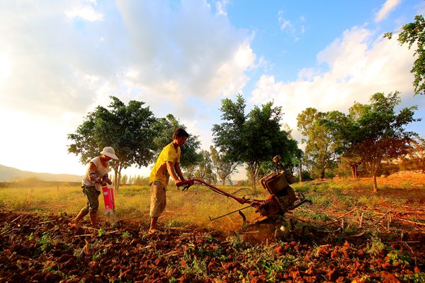 圖1:好雨驟至_副本.jpg 圖1:好雨驟至_副本.jpg