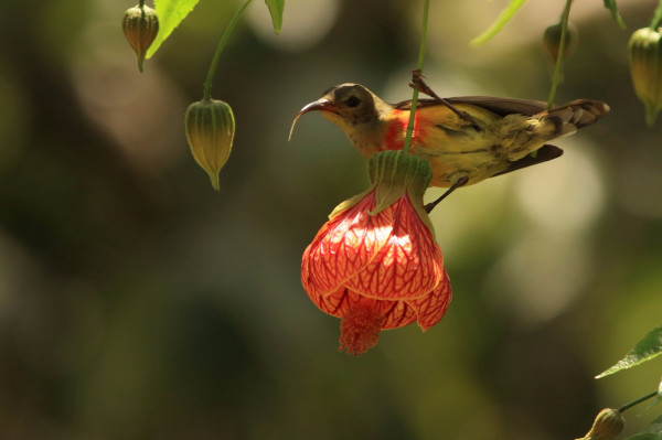楚雄市紀委_副本.jpg 楚雄市紀委_副本.jpg