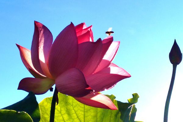 楚雄永安_副本.jpg 楚雄永安_副本.jpg