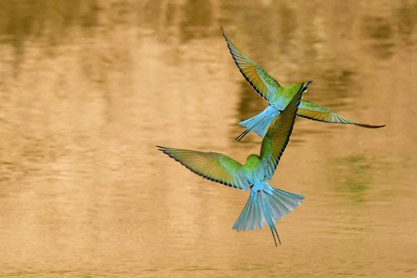 開遠_副本.jpg 開遠_副本.jpg