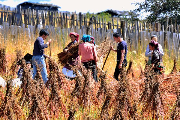 怒江_副本.jpg 怒江_副本.jpg