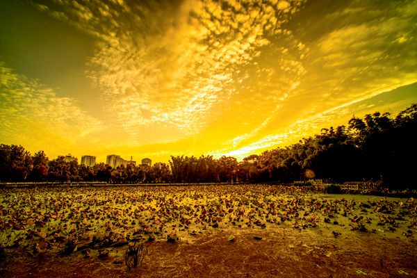 五華區 _副本.jpg