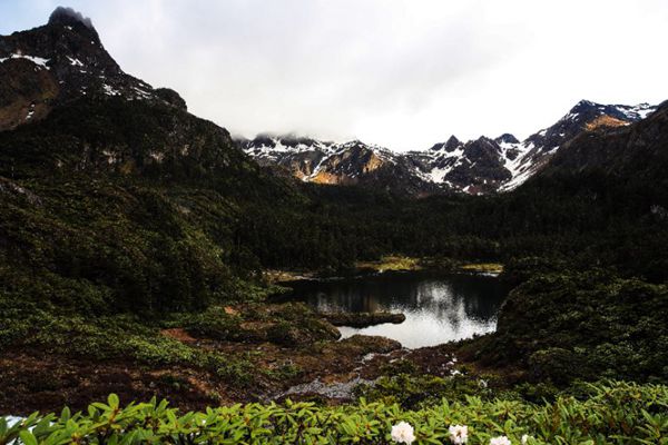 mmexport1530255013972_副本.jpg mmexport1530255013972_副本.jpg