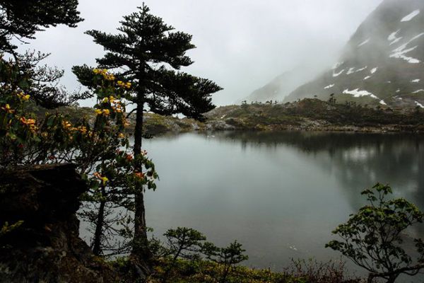 mmexport1530255024972_副本.jpg mmexport1530255024972_副本.jpg