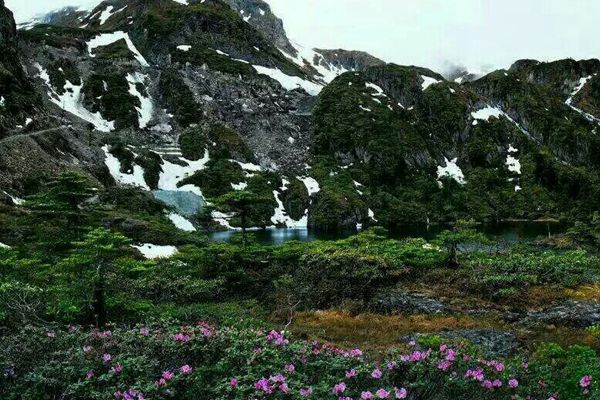 IMG_0115_副本.jpg IMG_0115_副本.jpg