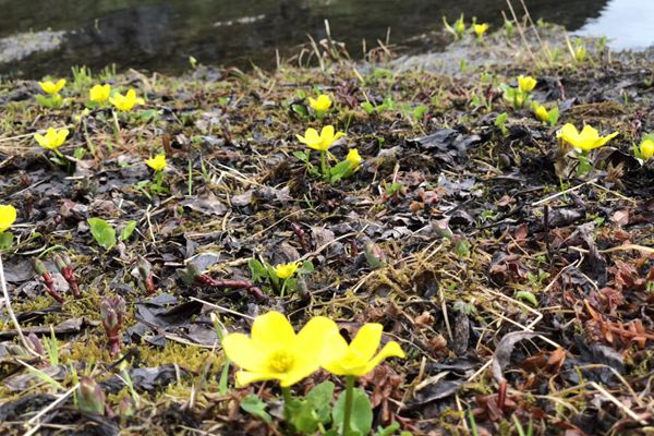 mmexport1529323485642_副本.jpg mmexport1529323485642_副本.jpg