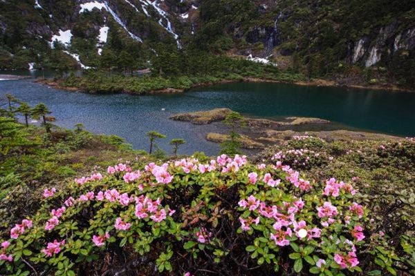 QQ圖片20180713113831_副本.jpg QQ圖片20180713113831_副本.jpg