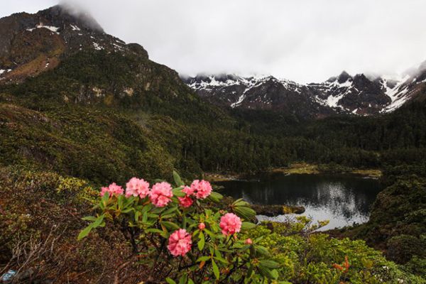 mmexport1530255022228_副本.jpg mmexport1530255022228_副本.jpg