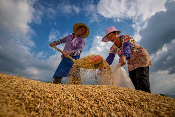 芒市_副本.jpg 芒市_副本.jpg