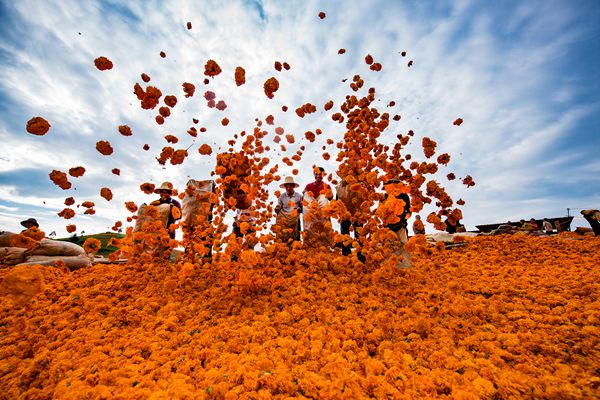 開遠_副本.jpg 開遠_副本.jpg