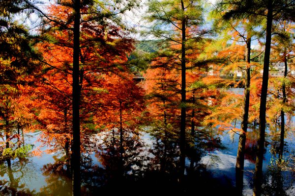 五華區_副本.jpg 五華區_副本.jpg