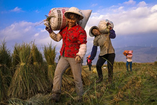 陸良_副本.jpg 陸良_副本.jpg