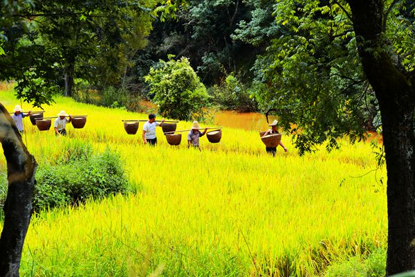 硯山_副本.jpg 硯山_副本.jpg