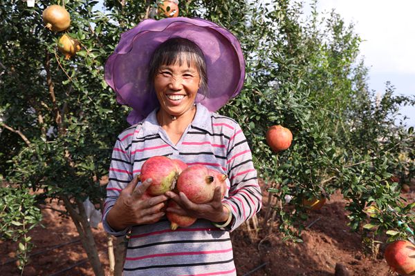 彌渡_副本.jpg 彌渡_副本.jpg